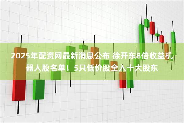 2025年配资网最新消息公布 徐开东8倍收益机器人股名单！5只低价股全入十大股东