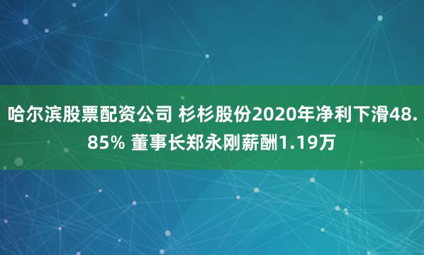 哈尔滨股票配资公司 杉杉股份2020年净利下滑48.85% 董事长郑永刚薪酬1.19万