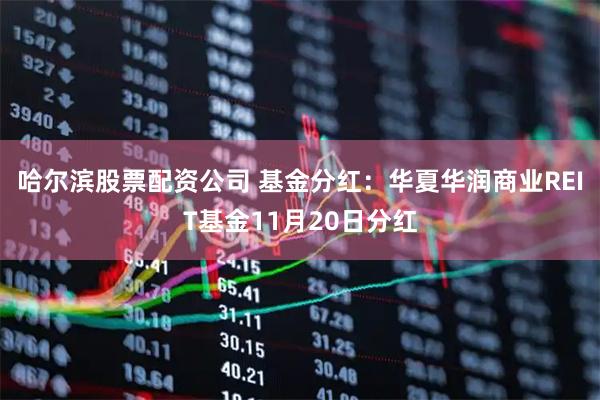 哈尔滨股票配资公司 基金分红:华夏华润商业REIT基金11月20日分红