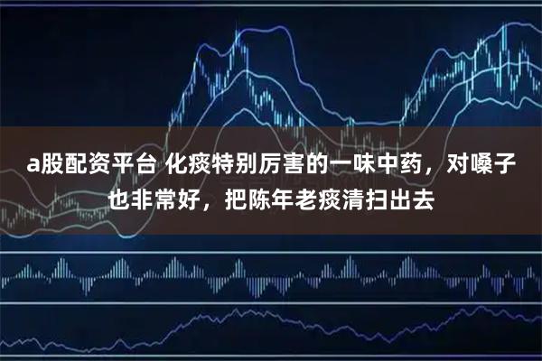 a股配资平台 化痰特别厉害的一味中药,对嗓子也非常好,把陈年老痰清扫出去