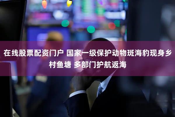 在线股票配资门户 国家一级保护动物斑海豹现身乡村鱼塘 多部门护航返海