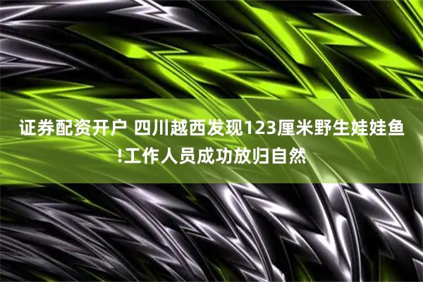 证券配资开户 四川越西发现123厘米野生娃娃鱼!工作人员成功放归自然